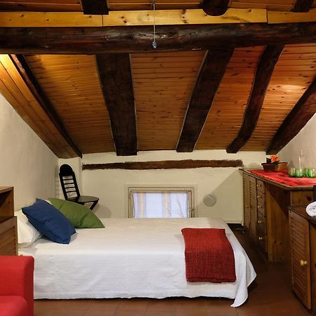 Castiglione Lovely Mansarda Bologna Bagian luar foto